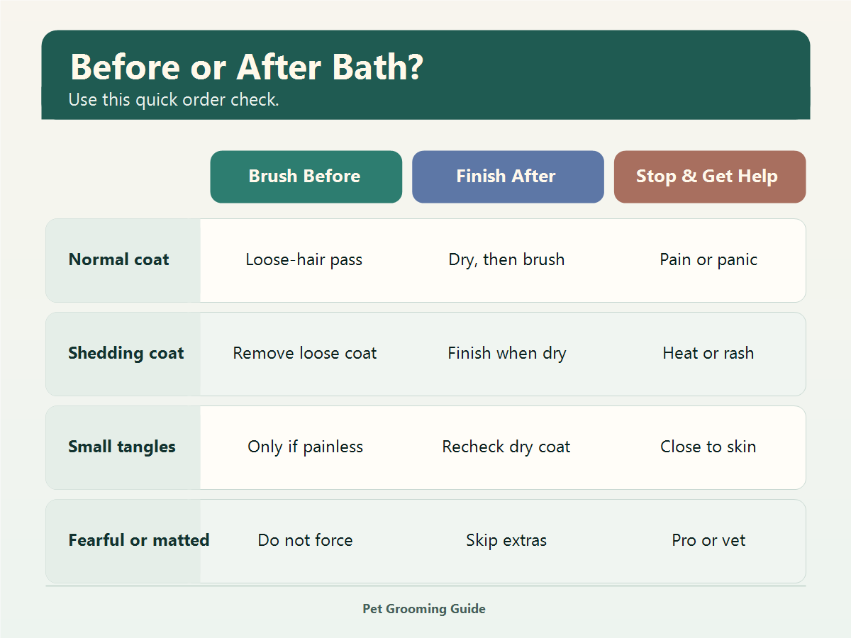 Decision card showing when to brush before a dog bath, finish after drying, or stop and get help.