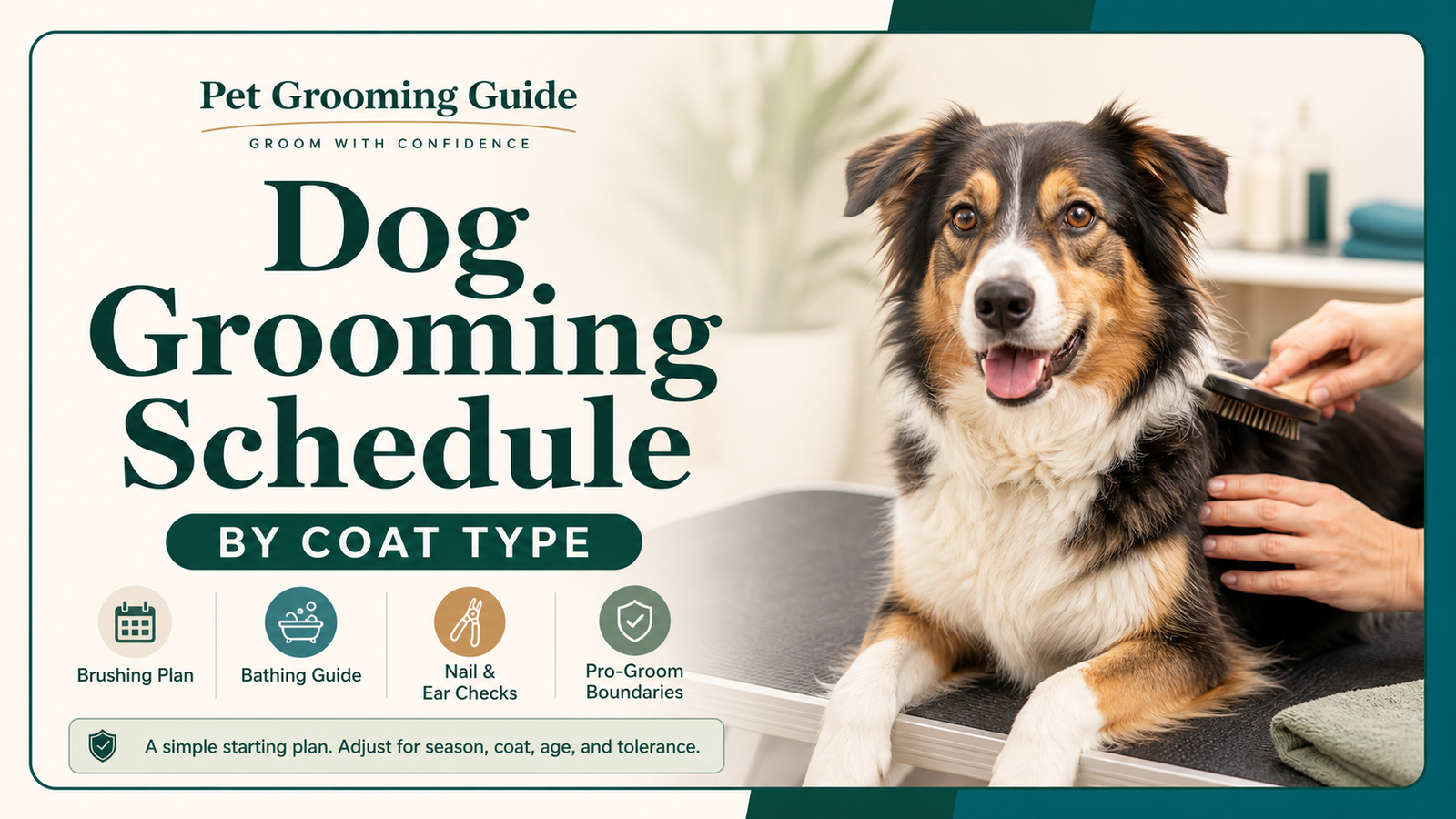 Dog Grooming Schedule by Coat Type