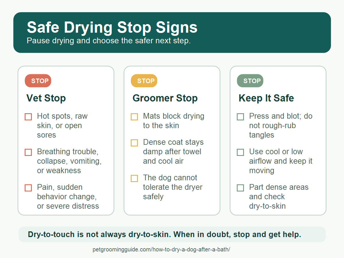 Safe dog drying stop signs card showing when to call a veterinarian, use a groomer, or keep towel and cool-air drying gentle.