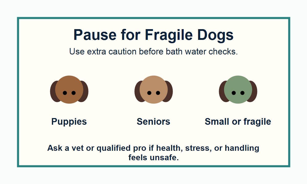 Dog bath caution graphic for puppies, senior dogs, small dogs, and medically fragile dogs