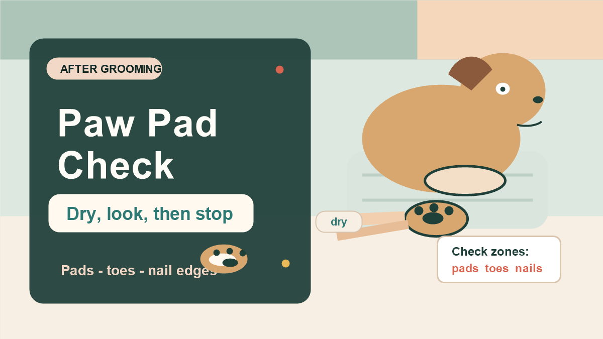 Dog paw on a towel beside text Paw Pad Check after grooming with pads, toes, and nail edges noted.