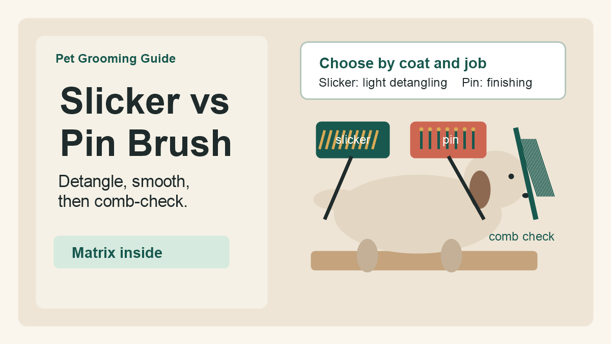 Slicker Brush vs Pin Brush: Which One Does Your Dog Need?