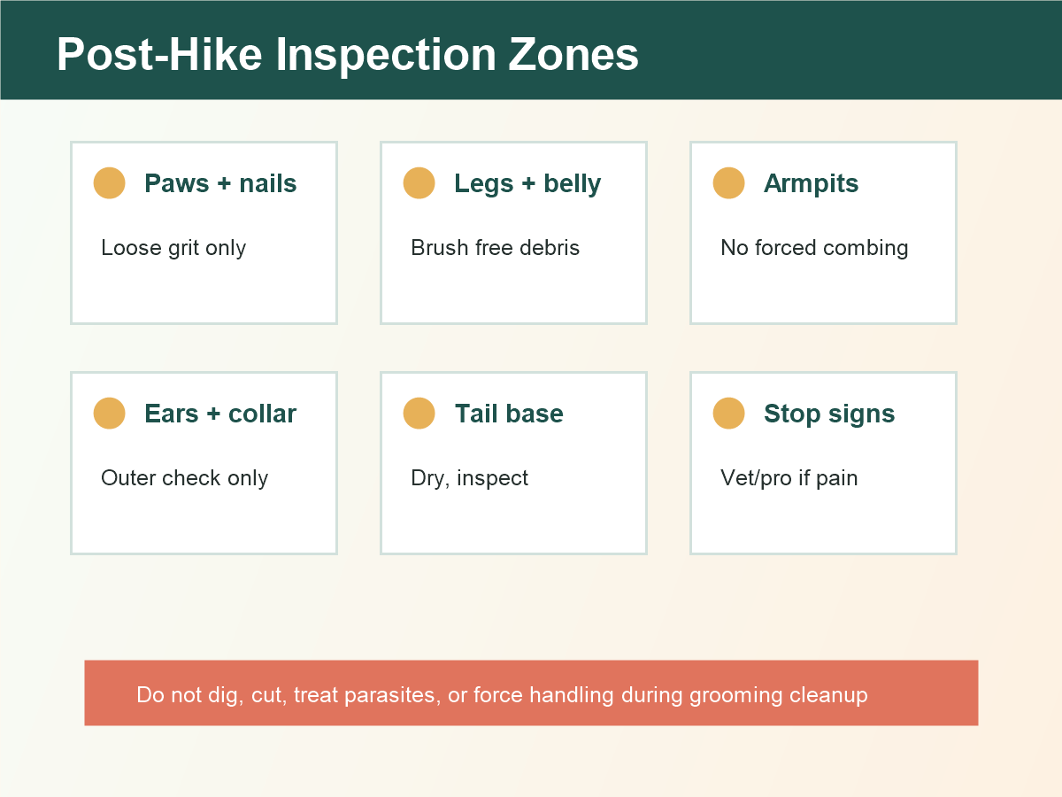Post-hike dog grooming inspection zones for paws legs belly armpits ears collar tail base and stop signs.