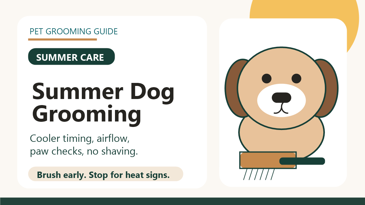 Summer dog grooming thumbnail with cooler timing, airflow, paw checks, and no-shave reminder