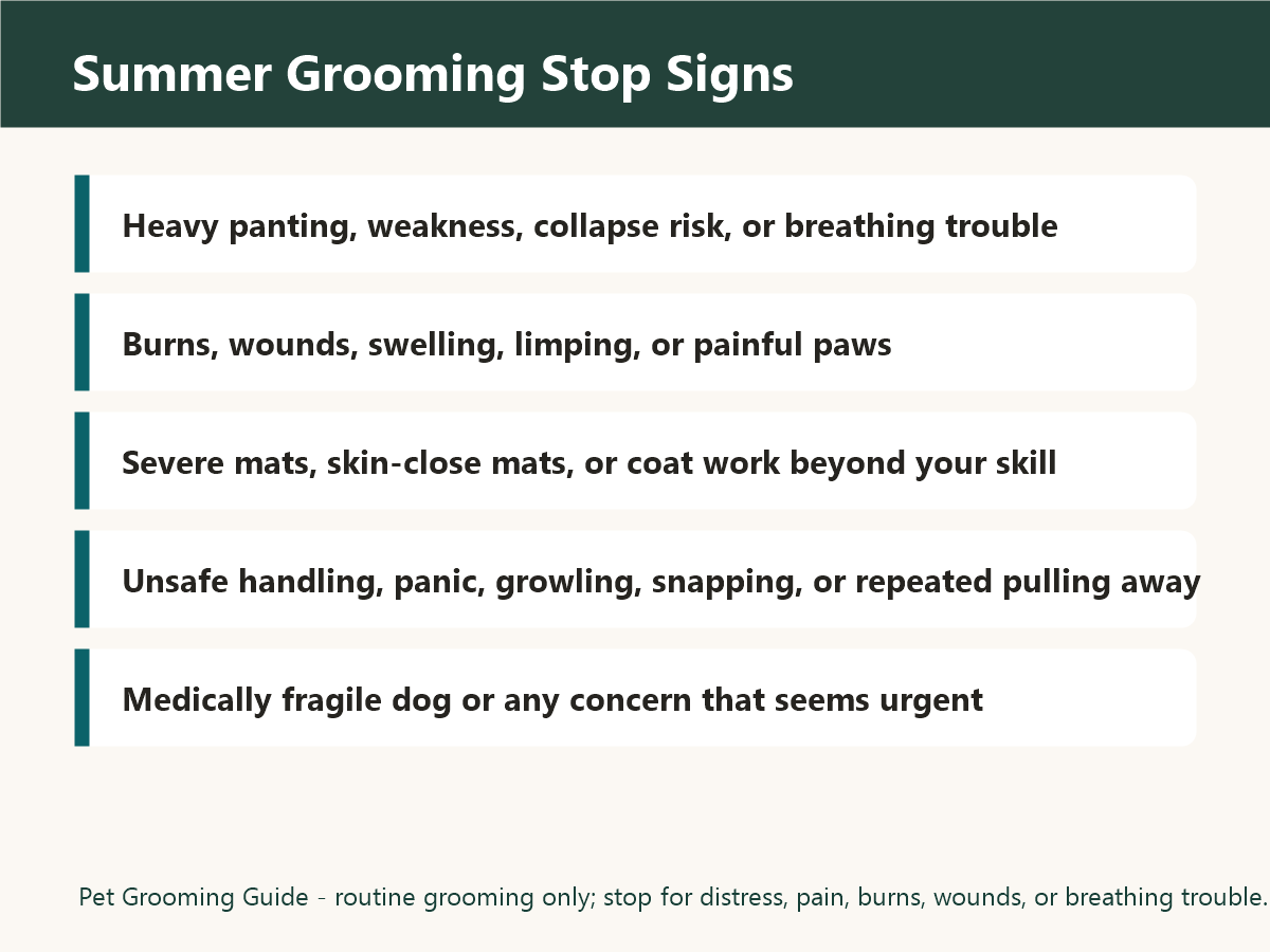 Summer dog grooming stop signs including heavy panting, weakness, burns, wounds, pain, breathing trouble, severe mats, or unsafe handling
