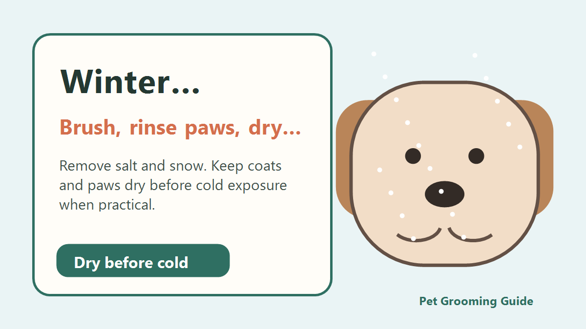 Winter dog grooming thumbnail with brush, paw rinse, and dry-before-cold reminder